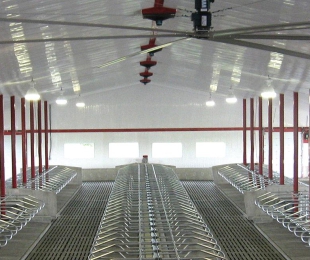 Tôn lấy sáng sóng vuông PVC AGTUF
